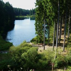 Grumbacher Teich - Harz