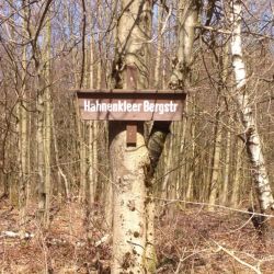 Wanderweg Hahnenkleer Bergstraße