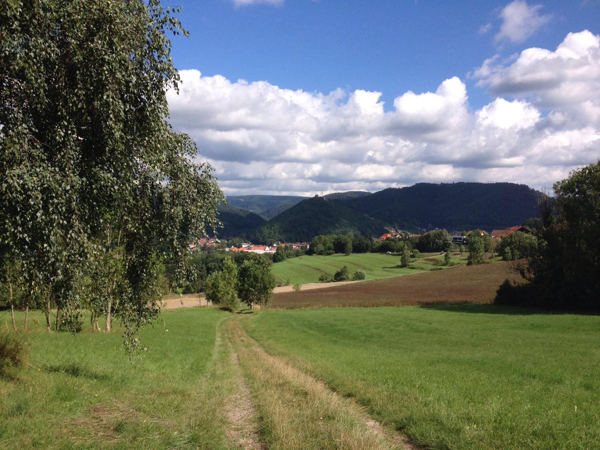 Wanderweg mit Blick auf die Harzlandschaft