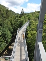 Blick vom Baumwipfelpfad in Bad Harzburg